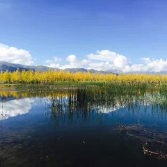 小交通模块 