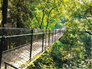 春节桂林旅行团_桂林旅游普吉岛价格_桂林游跟团