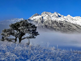 云南玉龍雪山旅游路線_云南玉龍雪山旅游大概多少錢_國慶云南玉龍雪山游價(jià)格