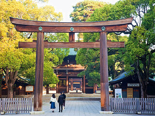 北海道十日旅游价格_期间北海道旅游跟团_北海道6天5晚跟团游