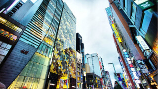 春天去东京怎么样_春天去东京好吗_春天去东京好玩吗