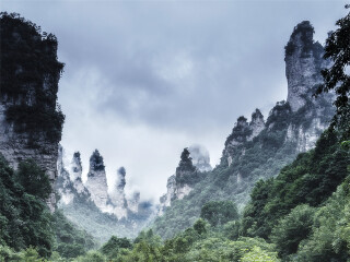 张家界8天跟团游_深圳出境张家界旅游_2023去张家界跟团多少钱
