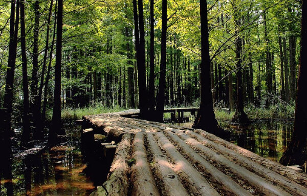 春天去滦县穿衣指南_春天去滦县当月天气_春