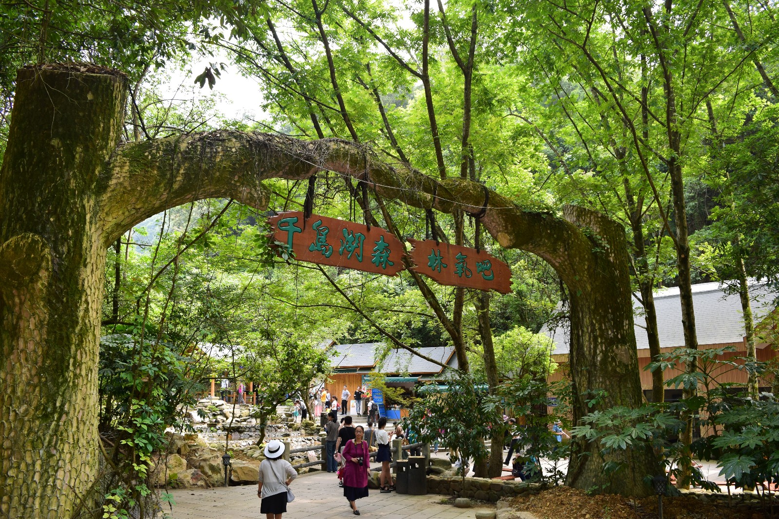 4天3晚，天然氧吧，千岛湖玩法_千岛湖线路玩法_千岛湖旅游线路推荐