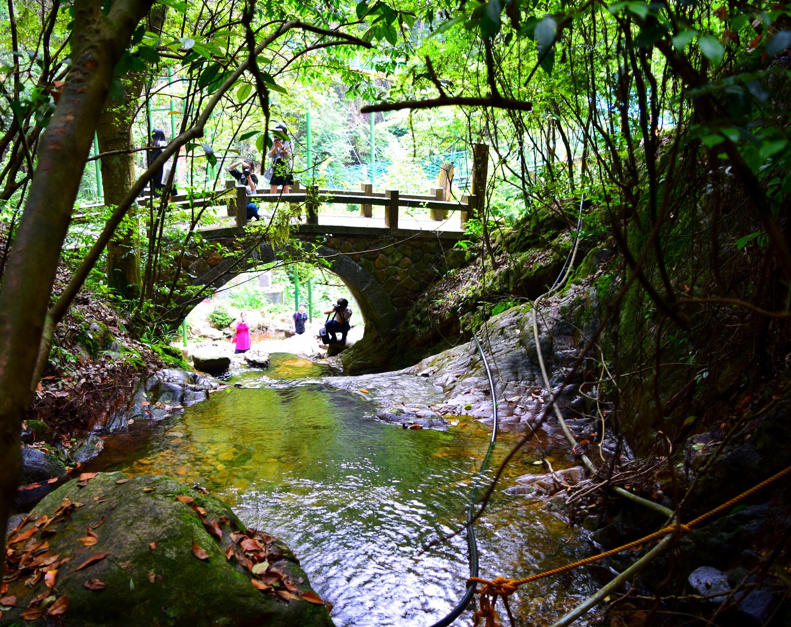 4天3晚，天然氧吧，千岛湖玩法_千岛湖线路玩法_千岛湖旅游线路推荐