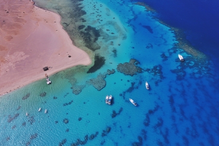 <埃及机票+当地11日游