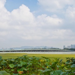 蠡园