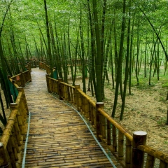 景点模块 