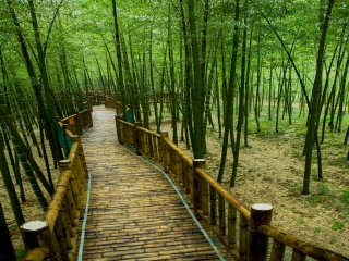 [中秋] 宜兴陶祖圣境-竹尖长廊-张公洞-竹林漂流-地下
