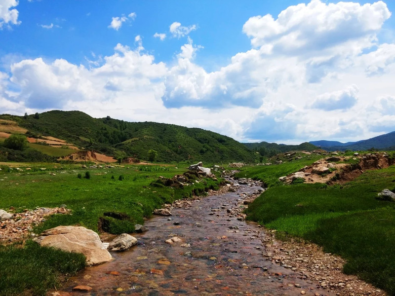 山西云顶山森林景区