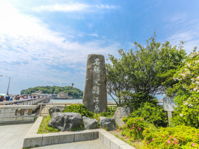  日本东京-镰仓江之岛-富士山5日游>温泉美食,非常规线路,厦门直飞