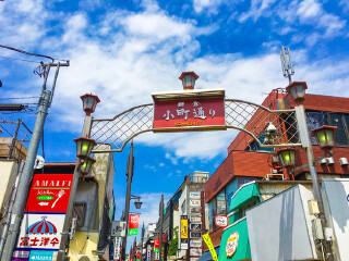 東莞到日本東京游_去日本東京旅游要多少錢_現(xiàn)在到日本東京旅游多少錢