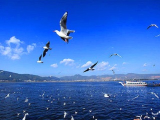 滇池大坝