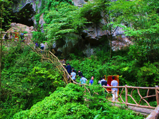 張家界自由行旅游團(tuán)_組團(tuán)去張家界_去張家界靠譜的旅行團(tuán)