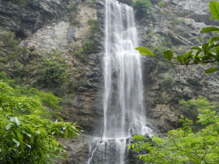 張家界自由行旅游團(tuán)_組團(tuán)去張家界_去張家界靠譜的旅行團(tuán)