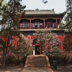 活动模块 