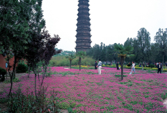 景点模块 