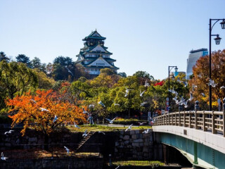 2021年日本旅游團(tuán)報(bào)價(jià)_8月日本旅游_日本跟團(tuán)還是自由行
