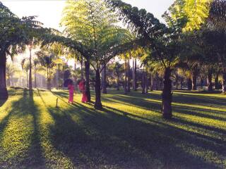 旅游團(tuán)云南西雙版納_到云南西雙版納旅游報團(tuán)價格_云南西雙版納旅行團(tuán)自由行