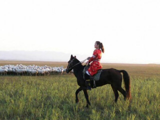 組團(tuán)去內(nèi)蒙古_(tái)深圳到內(nèi)蒙古六日游_去內(nèi)蒙古旅游多少錢