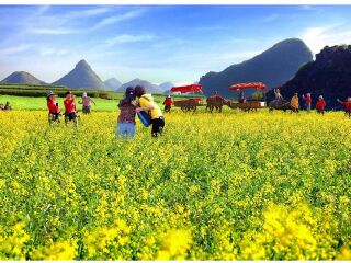 昆明旅游跟团去_昆明游旅游团报价_去昆明旅游的报价