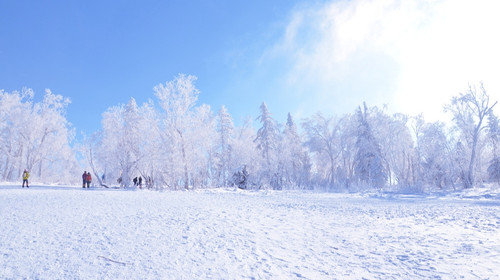 欢享2小时滑雪 舌尖美味 游梦幻家园 十里冰雪画廊 含伏尔加游览