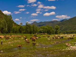 五臺山旅行團旅游報價_五臺山旅行團_五臺山跟團游與自由行