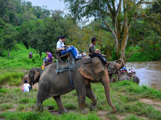 泰國旅游報(bào)價(jià)_到泰國旅游報(bào)團(tuán)價(jià)格_泰國六日旅游價(jià)格