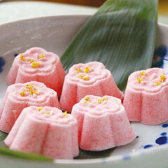 活动模块 