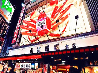 日本6天跟团游_日本高端旅游_日本随团游