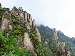 廬山游花多少錢(qián)_近期廬山游價(jià)格_旅行團(tuán)廬山游