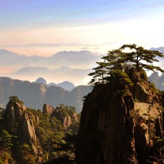 景点模块 