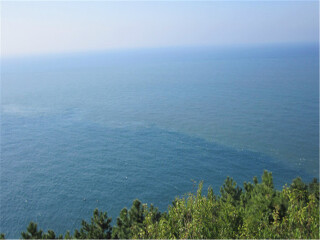 大連旅游跟團(tuán)需多少錢_大連旅行團(tuán)旅游報(bào)價(jià)_大連旅游路線