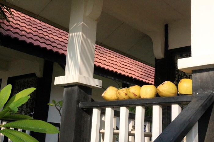 热浪岛,去莎莉太平洋度假村带孩子去赏花