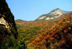 景点模块 