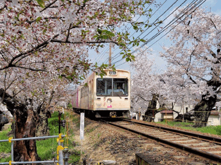 日本旅游價(jià)格多少跟團(tuán)_日本旅游團(tuán)_去日本旅游