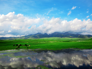 游新疆_去新疆旅游_新疆旅游高端