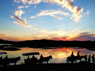 云南昆明旅游要多少錢跟團(tuán)_到云南昆明旅游多少錢_報(bào)團(tuán)去云南昆明多少錢
