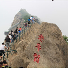 景点模块 