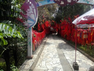 云南大理麗江最佳旅游路線(xiàn)_云南大理麗江旅游價(jià)格多少跟團(tuán)_云南大理麗江游花多少錢(qián)