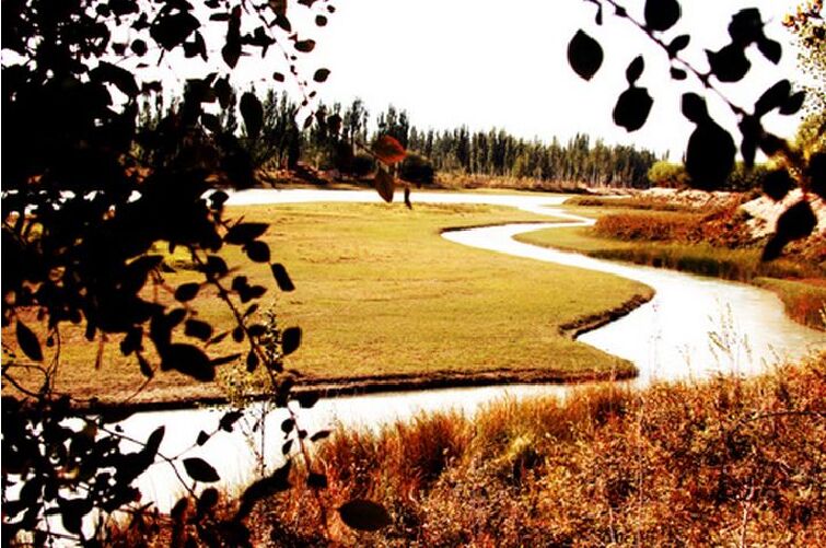 【泽普县金湖杨国家森林公园门票价格】2018