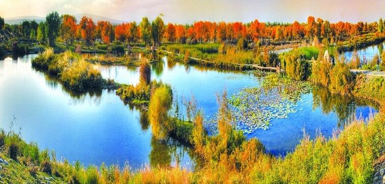 【泽普县金湖杨国家森林公园门票价格】2018