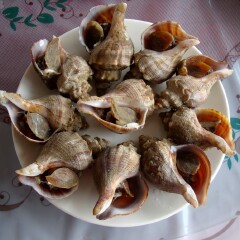 餐饮模块 