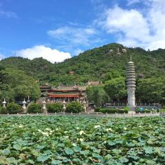 活动模块 