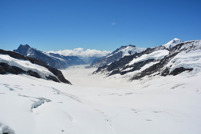 少女峰(jungfraujoch),以及这两座雪山间长长的蜿蜒在山谷间的冰河