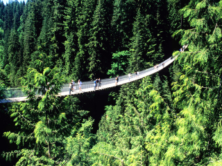 加拿大旅行跟團(tuán)_加拿大旅游團(tuán)_加拿大旅游花多少錢