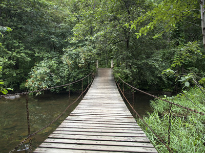 卡皮兰诺吊桥公园