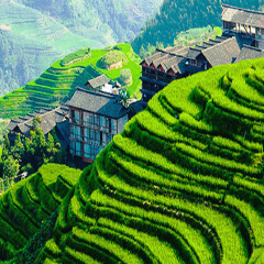 景点模块 