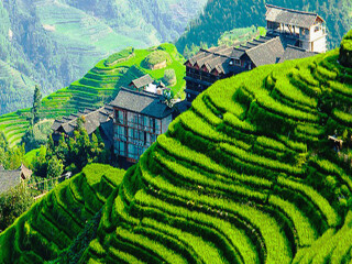 東莞到桂林陽(yáng)朔游_桂林陽(yáng)朔游組團(tuán)_跟團(tuán)桂林陽(yáng)朔旅游價(jià)格表