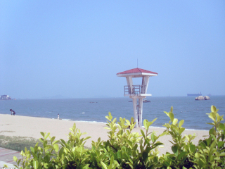 鼓浪屿旅游要多少钱跟团_东莞到鼓浪屿游_鼓浪屿游团